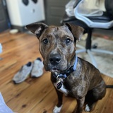 Entry image for Kobe