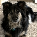 Entry image for Juni Bug