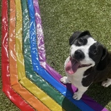 Entry image for London