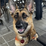 Entry image for Kaida