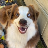 Entry image for Obi Wan