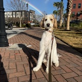 Entry image for Benny