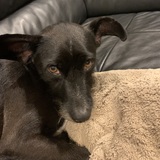 Entry image for Ponto