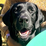 Entry image for Storm