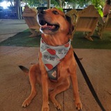 Entry image for Granger 