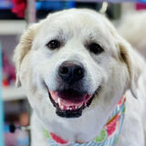 Entry image for Fiona