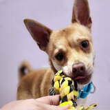 Entry image for Howard