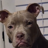 Entry image for Maggie