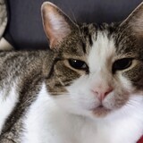 Entry image for Trouble