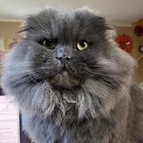 Entry image for Beasley 