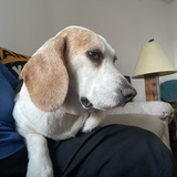 Entry image for Babygirl