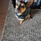 Entry image for Mylo Banks 