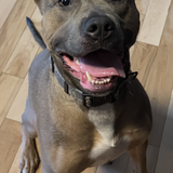 Entry image for Maverick