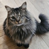 Entry image for Faith