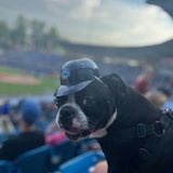 Entry image for Hank