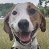 Entry image for Whiskey