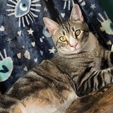 Entry image for Wumbo