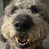 Entry image for Chloe Turko