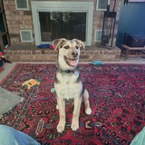 Entry image for Thunder