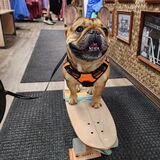 Entry image for Marley