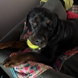 Entry image for Banx