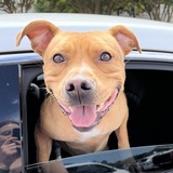 Entry image for Silas