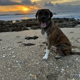 Entry image for Cooper