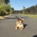 Entry image for May May (Darla at CAS)