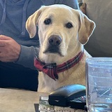 Entry image for Mako