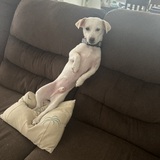 Entry image for Charley