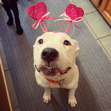 Entry image for Tater