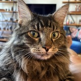 Entry image for Uncle Baby Billy 