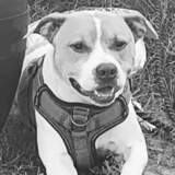 Entry image for Zeus