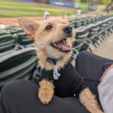 Entry image for Tatum