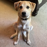 Entry image for Todd