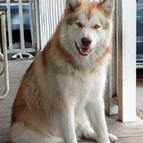 Entry image for Murphy 