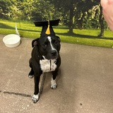 Entry image for Tally