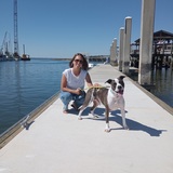 Entry image for Banksyboy