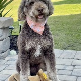 Entry image for Woodford