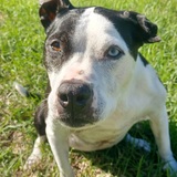 Entry image for Mimi