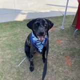 Entry image for Blue