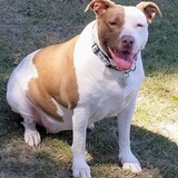 Entry image for MamaSan Newcomb