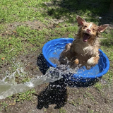 Entry image for Luna