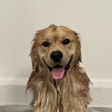 Entry image for Oliver