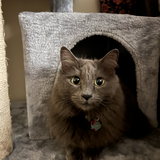 Entry image for Sweet Leaf 