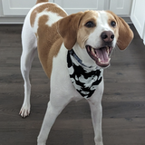 Entry image for Porkchop