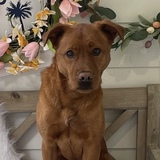 Entry image for Archer