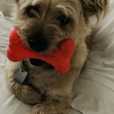 Entry image for Michael Lee