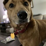 Entry image for Allie