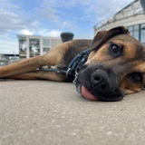 Entry image for Pita